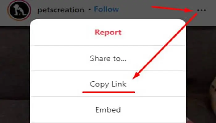 copy-the-Instagram-download's-url-for-instagram-video-download