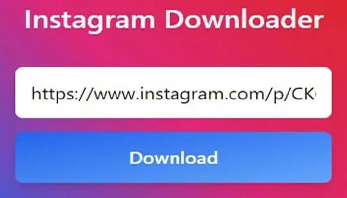 Insert-the-link-for-Instagram-video-download