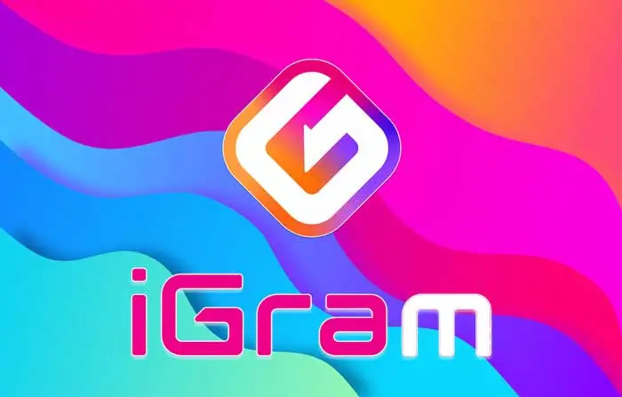iGram-tool-for-instagram-video-download